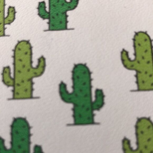 NWT Lucky 🍀 Cacti 🌵 Vegan 🌱 Zip Wallet 12 card inserts zip coin Secure! - Picture 4 of 17